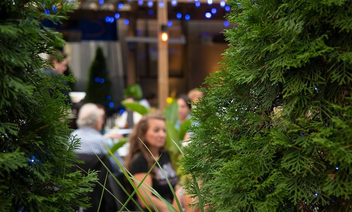 Patio Dining in Toronto: What You Need to Know