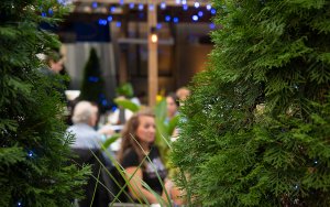 Patio Dining in Toronto: What You Need to Know