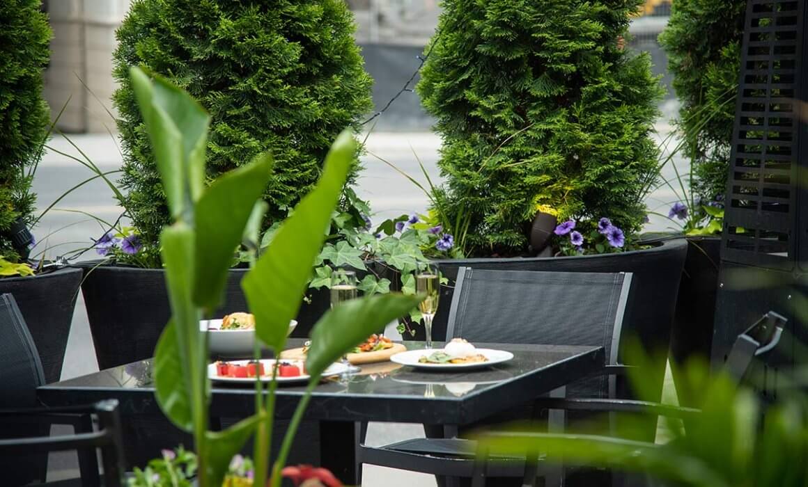 The Best Patio to Enjoy this Summer