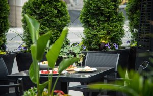 The Best Patio to Enjoy this Summer